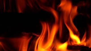 Musiques du monde - Kaibab Forest