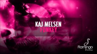 Kaj Melsen - Funkey (Original Mix) [Flamingo Recordings]