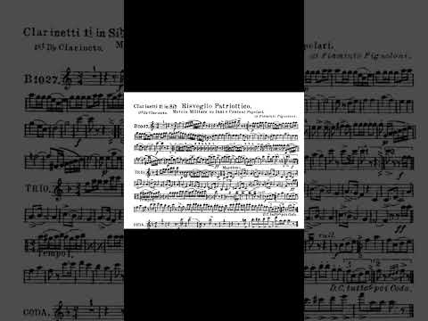 Risveglio patriottico - Flaminio Pignoloni (Marcia militare)