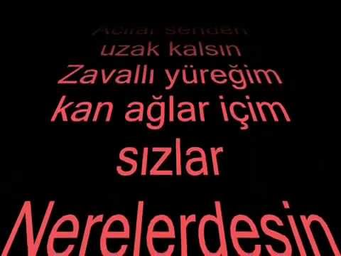 ILAYDA   Seni Cok Sevmistim ( DJ IKRAM REMIX ).wmv