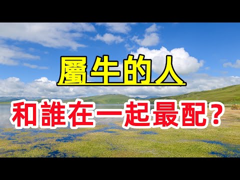 1997生肖配對