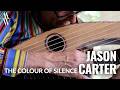 Jason Carter The COLOUR OF SILENCE - Harp Guitar Virtuosity