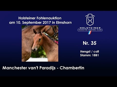 Nr. 35 v. Manchester van't Paradijs - Chambertin