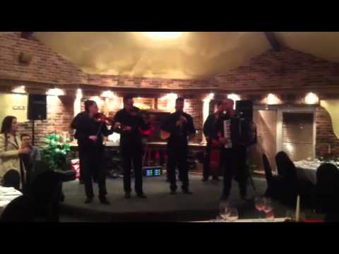 orkestar Aleksandra Sofronijevica kod Brene i Bobe Zivojino