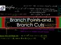 Understanding Branch Points, Branch Cuts, and Natural Log in Complex Analysis