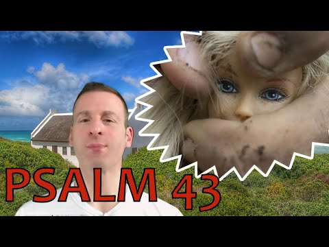 Psalm Chapter 43 Summary and What God Wants From Us