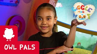 Giggle and Hoot: Dancing | Owl Pals