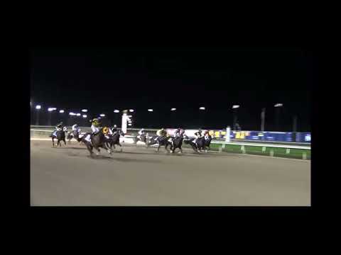 Jess a saint 20 x 1 / Rigo Marroquín / RM Video