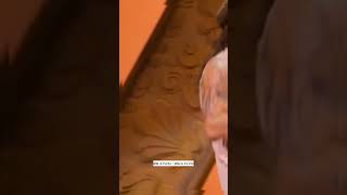 Download lagu Whindersson nunes | Doação com Famosos #shorts #humor #Whindersson #Whinderssonunes #show mp3