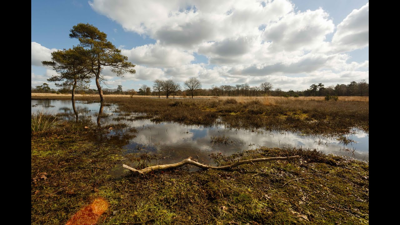 Leersumse Veld, Vervlogen Momenten
