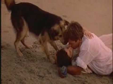 Summer School movie ending with great dog