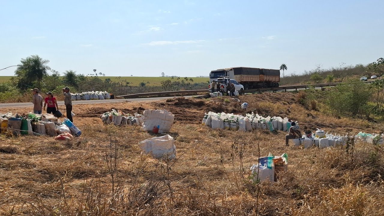 CARRETA ESCAPOU DO CAVALO CAI NA RIBANCEIRA #FAZENDEIRO DEU O #MILHO PRA NOS!!!