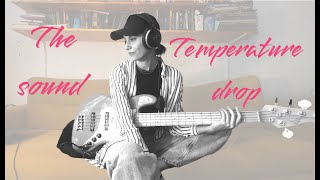 The Sound - Temperature Drop (bass cover)