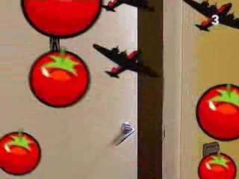 Polonews programa 91