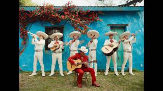 Bruno Mars - Risk It All