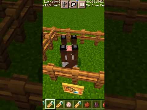 Minecraft all name tags tricks #minecraft #viral #shorts