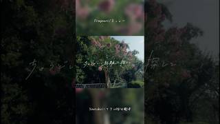 Fragment/ヨッシー