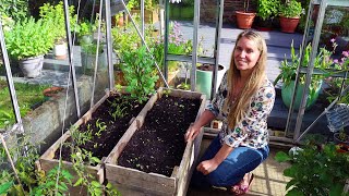 5 Crucial Tips for a Bountiful Container Garden