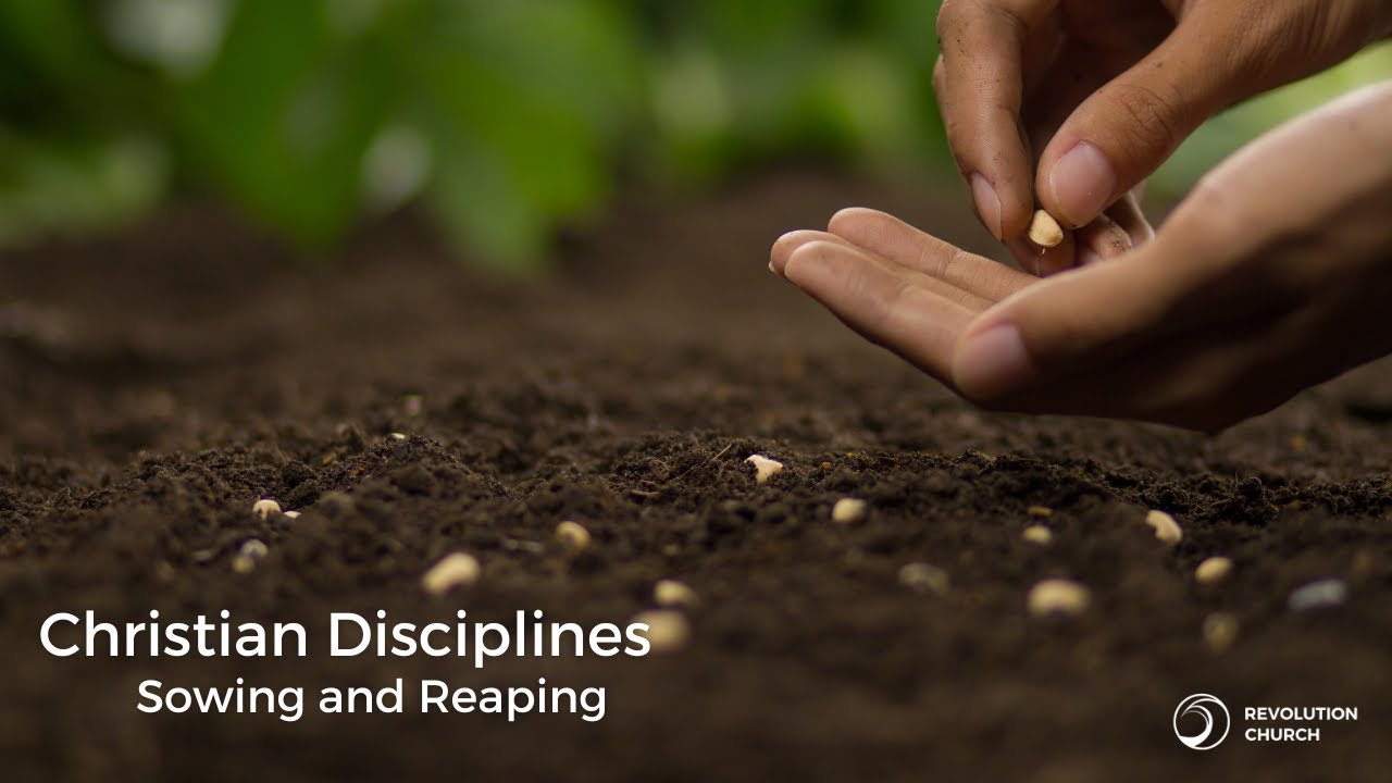 Sowing & Reaping