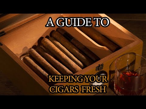 How To Keep Your Cigars Fresh?