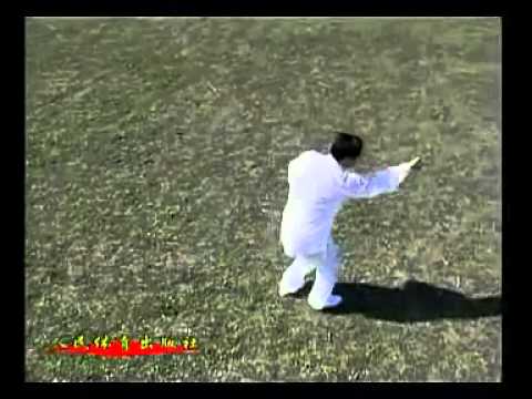 Xingyi Bashi Quan by Master Di Guo-Yong