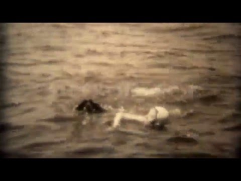 1936: Woman in swim cap and dog swimming together in open lake water.  TRYON, NC