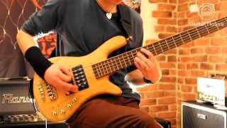 Animals as Leaders - Behaving Badly (Bass cover by Tony Brzeski)