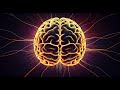 The Mysteries Of The Human Brain Physics Science Cosmos Brain