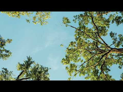 Henna Onna | Hogh - Sál