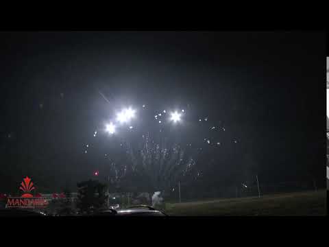 31) 1.2 Inch 13 shots single row Fan shape