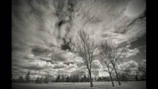 Peter Bradley Adams-Song for Viola