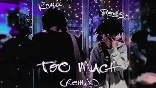 Cover art for Too much