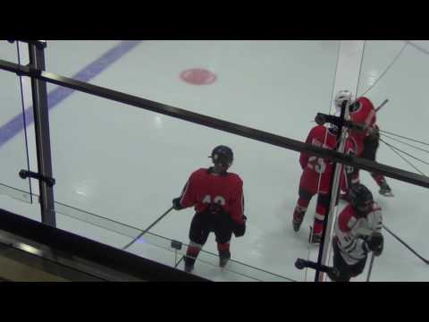 HC Vipers 01/02 - HC Panter 01/02  10-1 (4-0; 3-1; 3-0)  12.10.2016