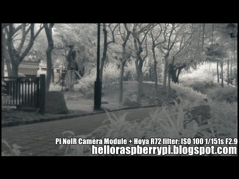 Test Pi NoIR Camera Module with Infrared filter, 680nm vs 720nm.