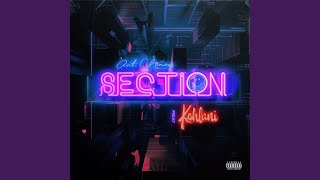 Section Music Video
