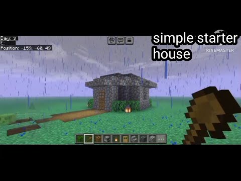 Bee Player Builds EPIC Minecraft House