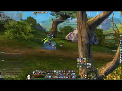 What ''PVP'' in EuroAion looks like... (Aion 4.6 SM)