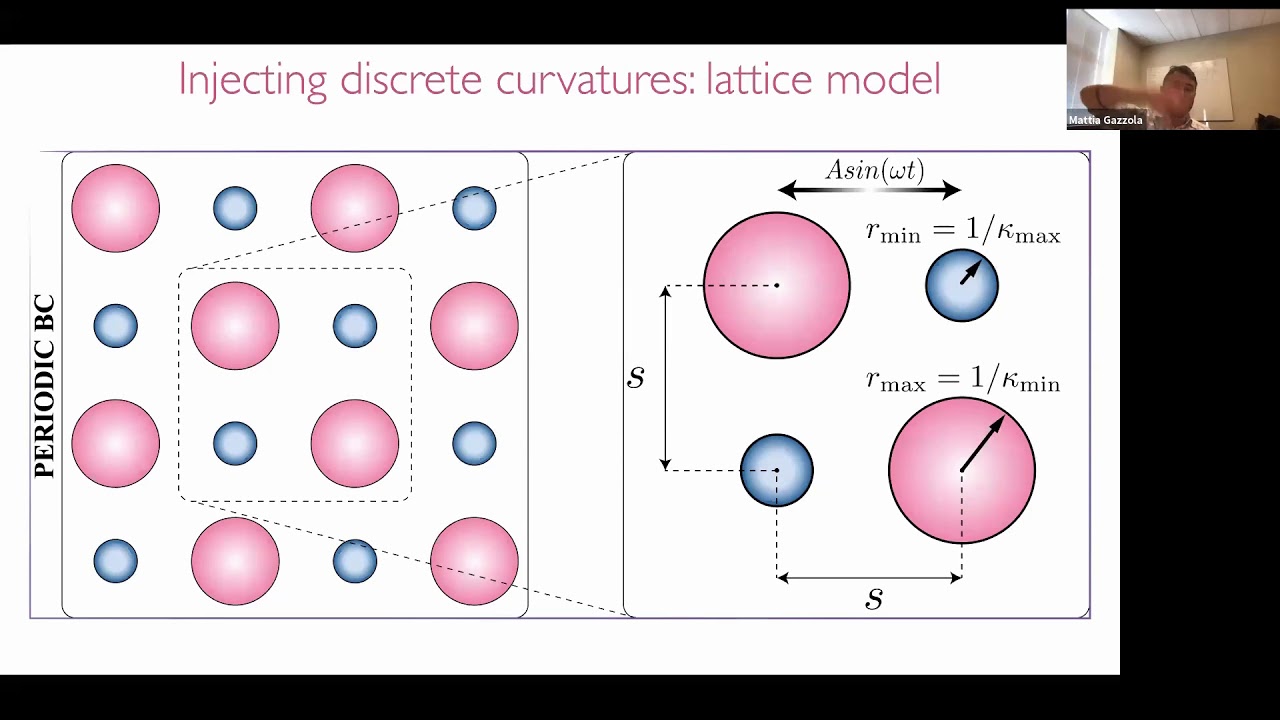 Fluid Mechanics Webinar Series: Gazzola