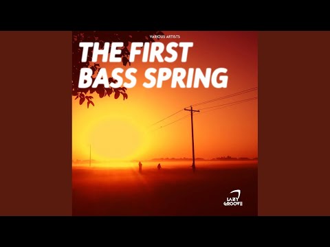 I'm Sorry (Original Mix)