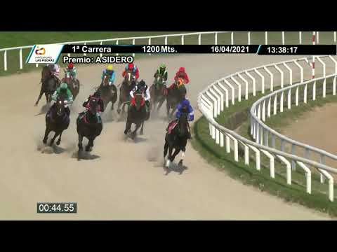 210416 c01 - TIRANO - HIPODROMO LAS PIEDRAS