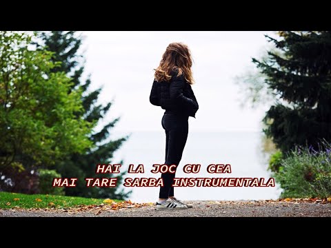 SARBA INSTRUMENTALA [26] | COLAJ SARBE DE JOC LA ORGA | SARBA 2023 | HIT 2023