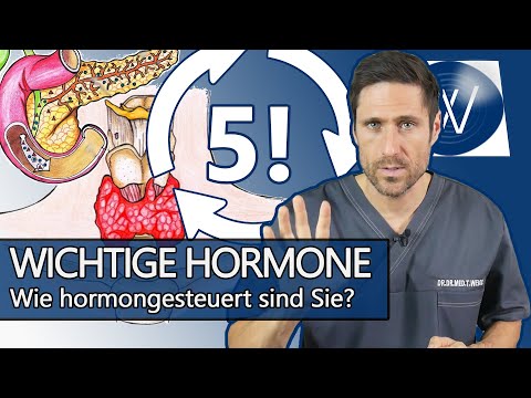 Diese 5 Hormone beeinflussen Ihren Alltag: Stimmung, Libido, Gewicht & Stoffwechsel - Darauf achten!