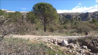 preview picture of video 'Pollino national park near Castrovillari'