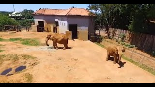 Miniatura do vídeo