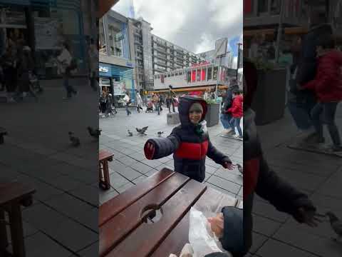 Thumbnail for #europe #kids #bird #fyp #holiday #family #feeding #boy #netherlands #belanda #rotterdam