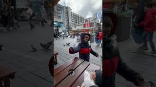 #europe #kids #bird #fyp #holiday #family #feeding #boy #netherlands #belanda #rotterdam
