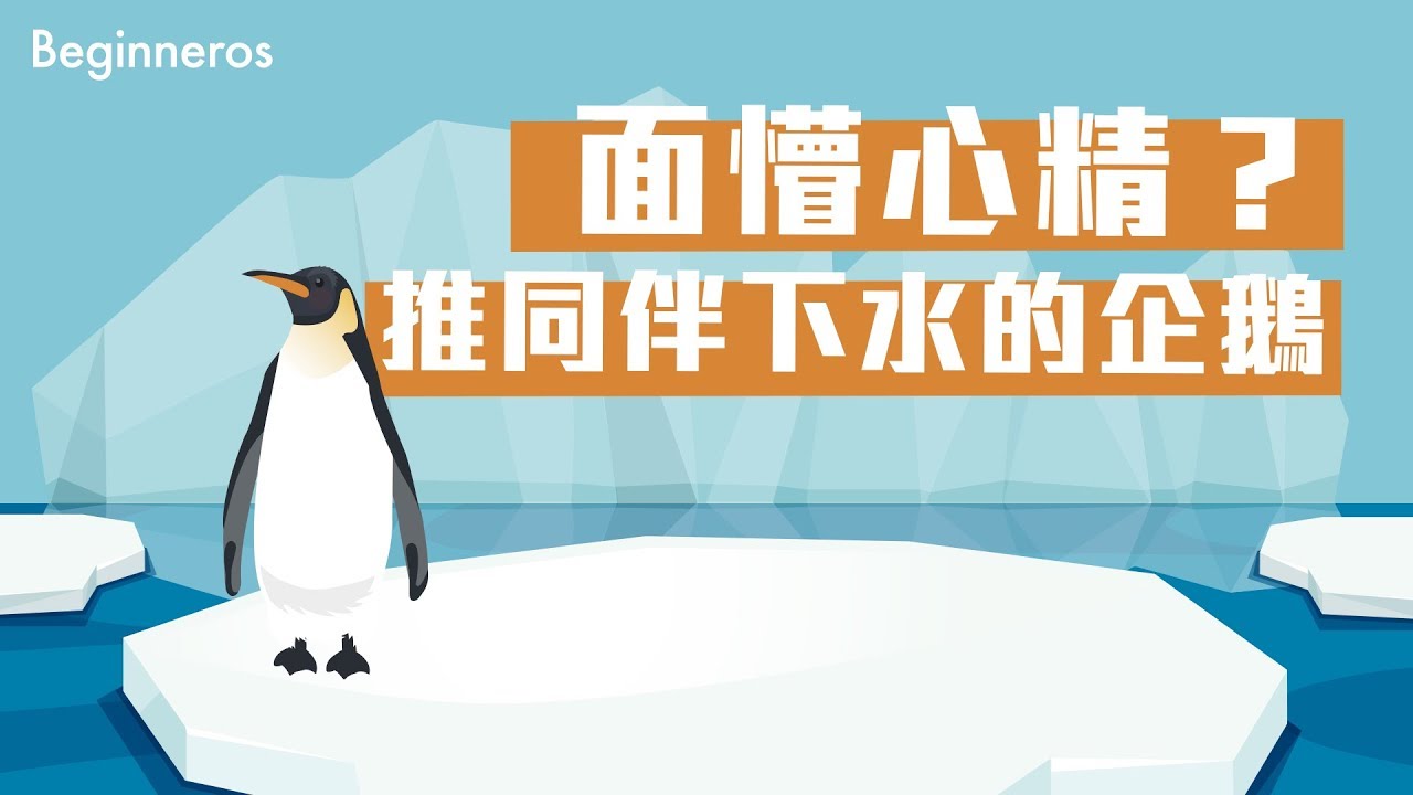 面懵心精？推同伴下水的企鵝