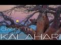 CRY OF THE KALAHARI An Explorer S 10 Year Infatuation With A Disappearing Wilderness ASPWexperience