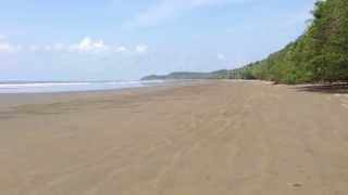 preview picture of video 'Playa Uvita Ballena National Park in Costa Rica'