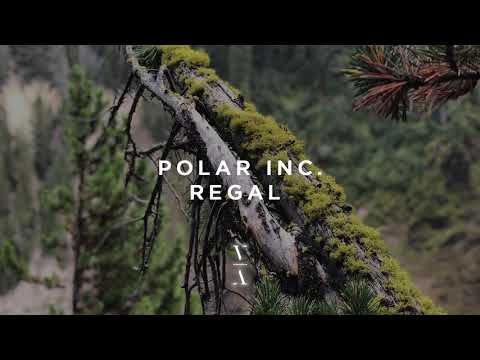 Polar Inc. - Regal (Extended Mix)